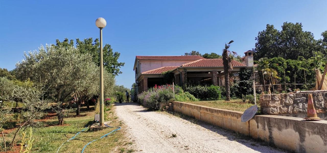 Villa Holiday House Olly à Rovinj Extérieur photo